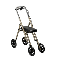 Kneeling Walker